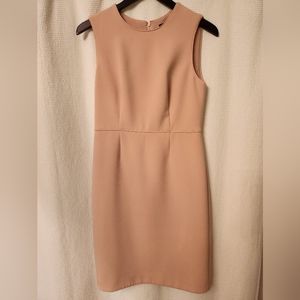 Ann Taylor Sleeveless Sheath Dress Soft Pink Size 6 Petite